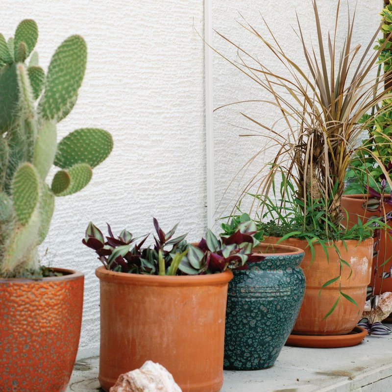 Pots & cache-pots