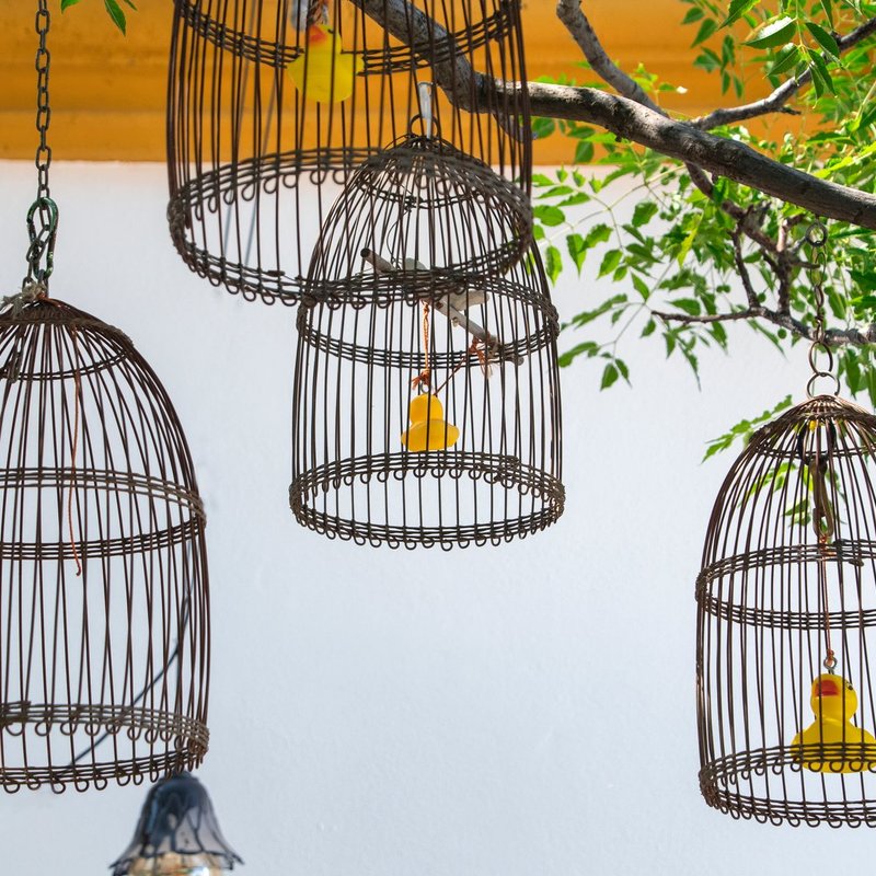 Cages & perchoirs à oiseaux