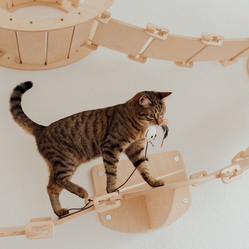Accessoires pour meubles pour chats