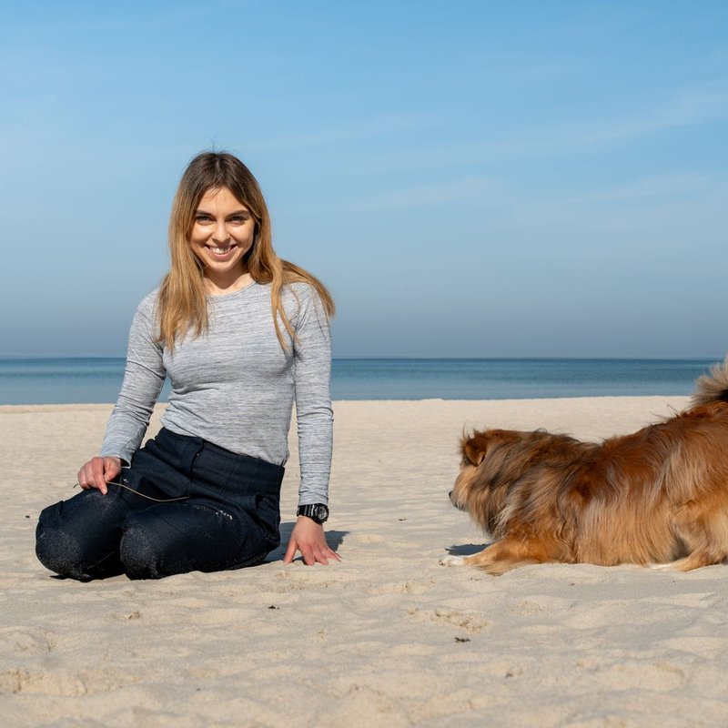 Culottes hygiéniques pour chiens