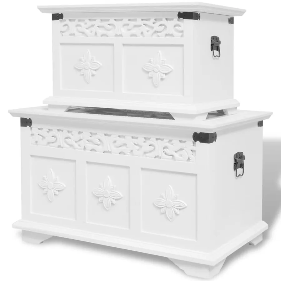 Ensemble de deux coffres de rangement Blanc