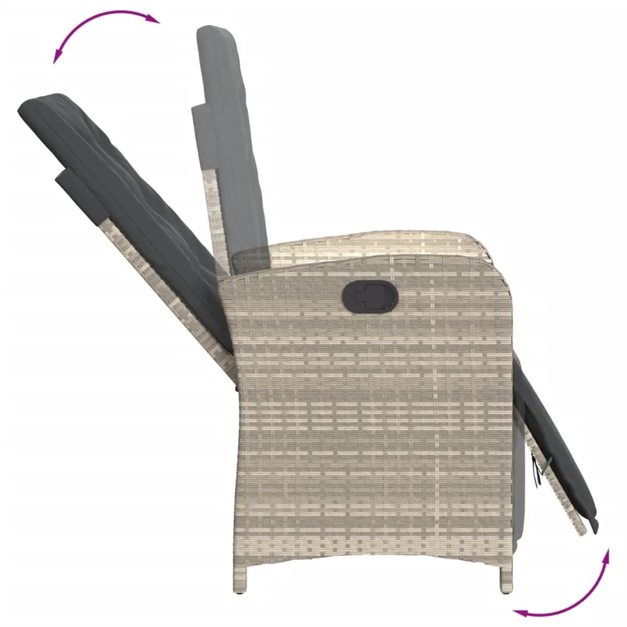 Ensemble à manger de jardin et coussins 9 pcs gris clair rotin - 7