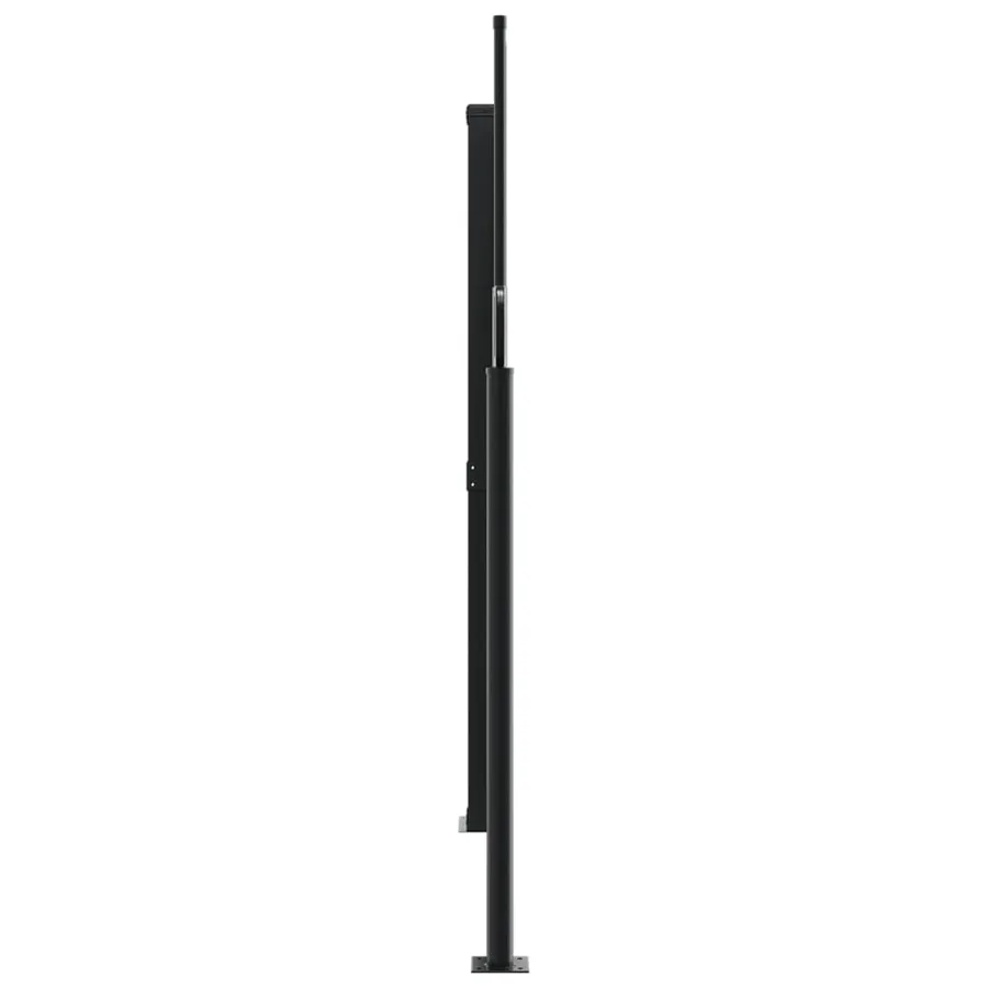 Auvent latéral rétractable noir 160x1000 cm - 4