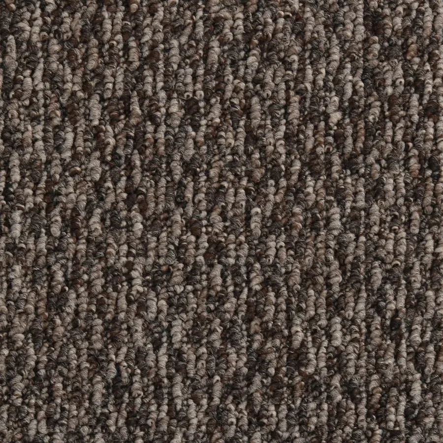 Paillasson Beige 90x150 cm - 5