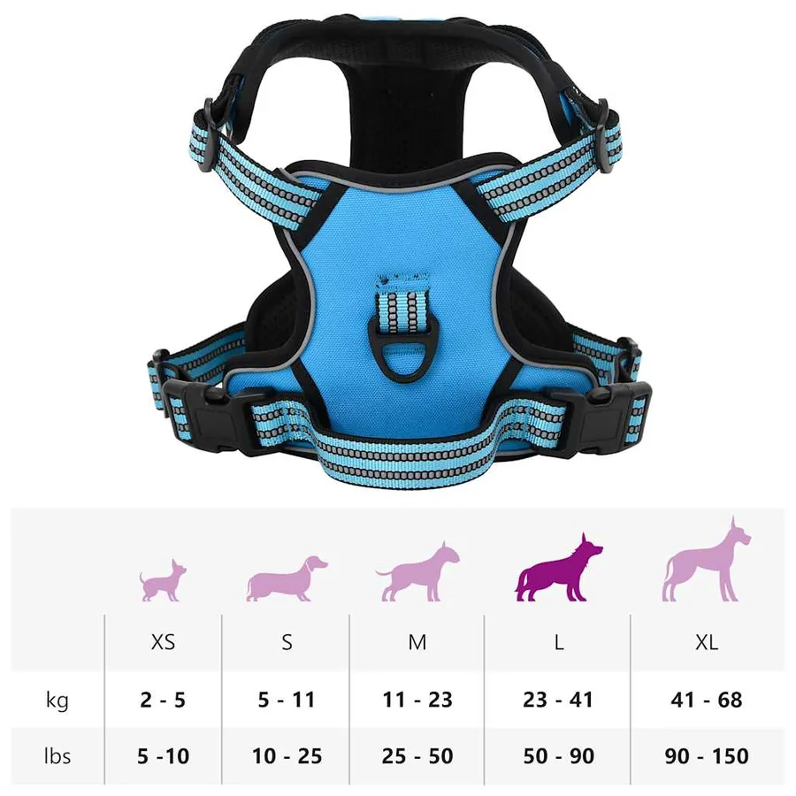 Harnais pour chien avec laisse et collier réglables bleu L - 14