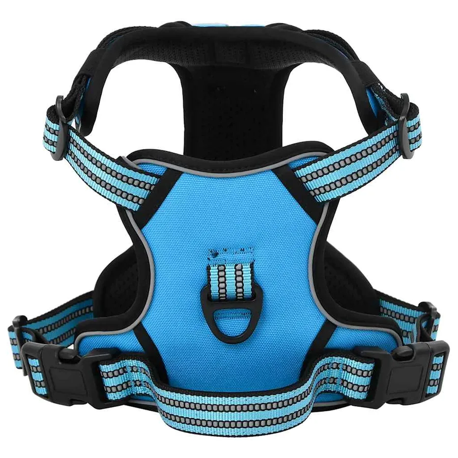 Harnais pour chien avec laisse et collier réglables bleu L - 2