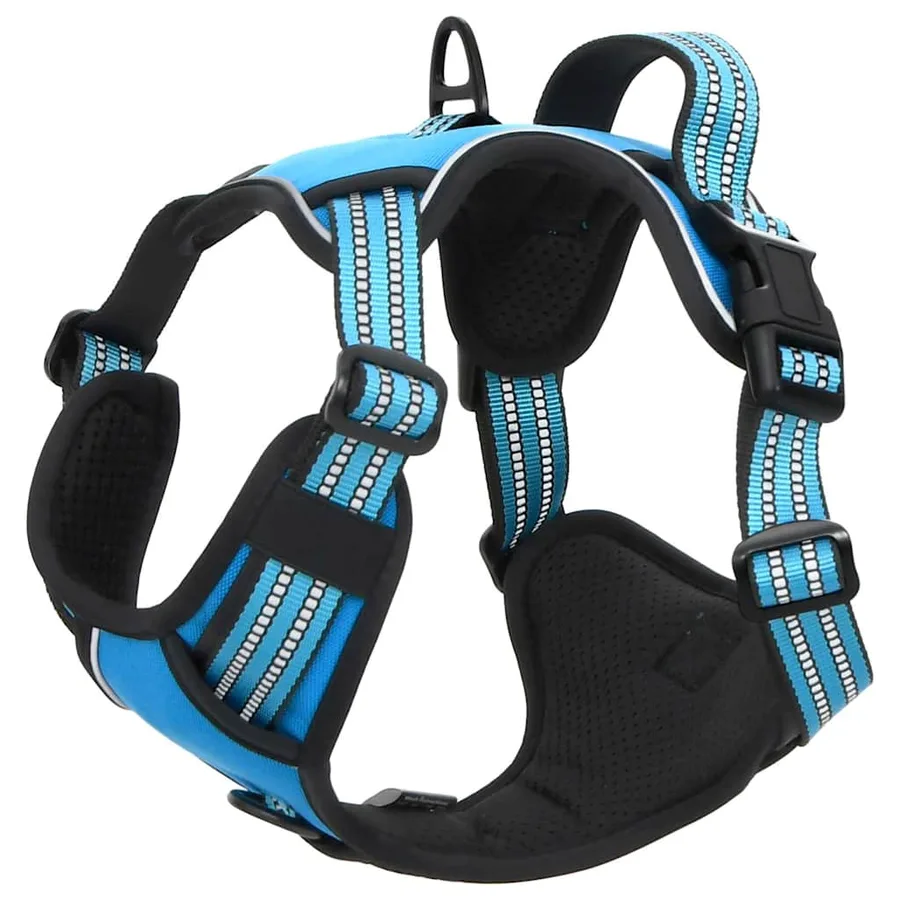 Harnais pour chien avec laisse et collier réglables bleu L - 8