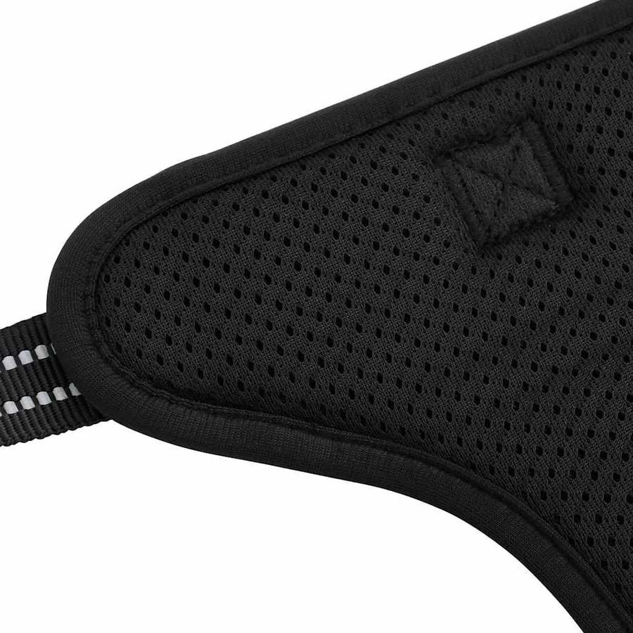 Harnais pour chien avec laisse et collier réglables noir S - 10