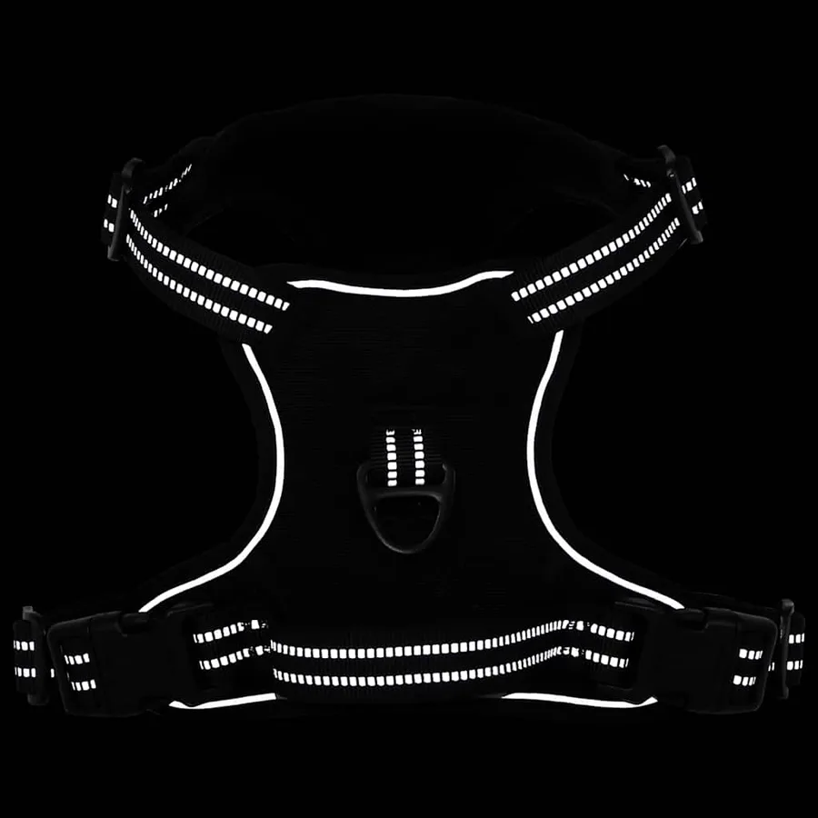 Harnais pour chien avec laisse et collier réglables noir S - 5
