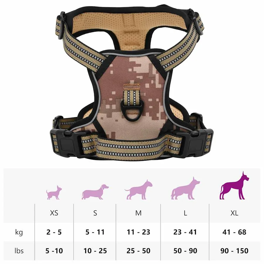 Harnais pour chien avec laisse et collier réglables XL - 14