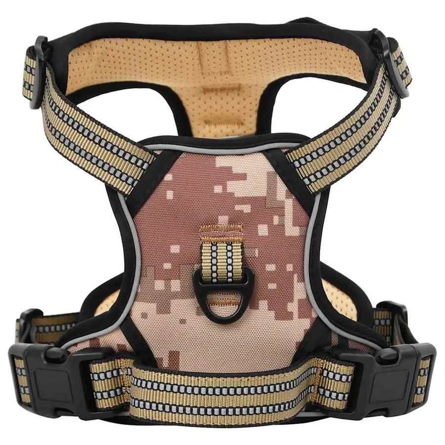 Harnais pour chien avec laisse et collier réglables XL - 2