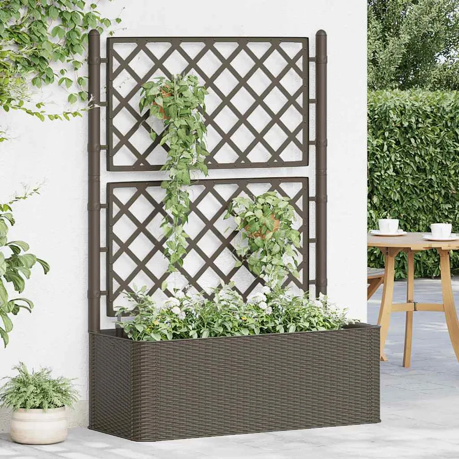 Lit surélevé de jardin et treillis et système d'arrosage Moka - 3