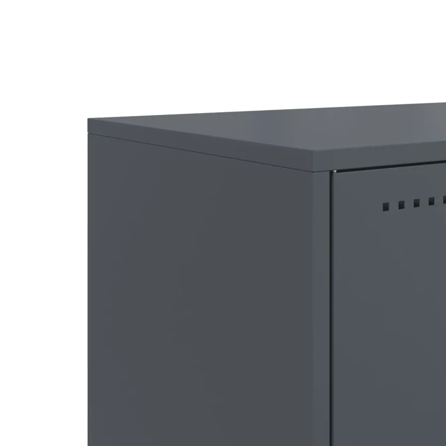 Meuble TV anthracite 100,5x39x43,5 cm acier - 10