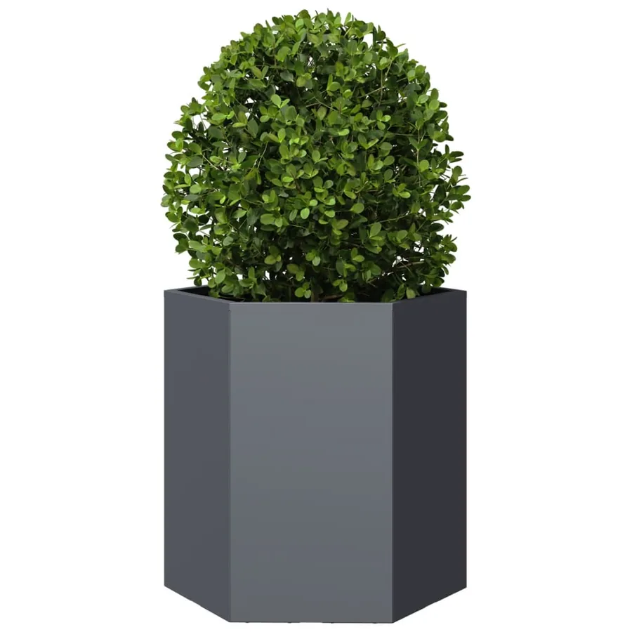 Jardinières 2 pcs anthracite hexagone 46x40x45 cm acier - 5