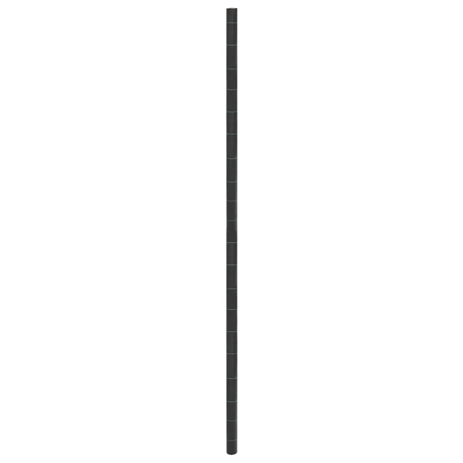 Membrane anti-mauvaises herbes noir 4x10 m PP