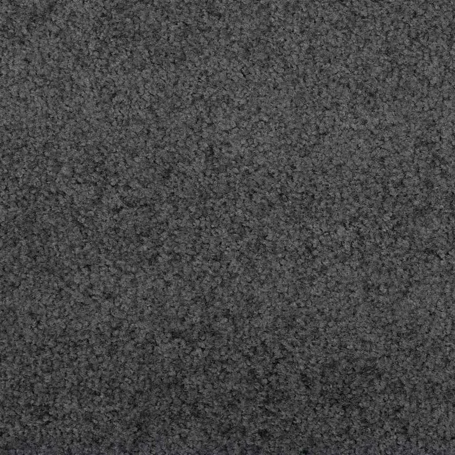 Tapis d'entrée Anthracite et noir 120 x 250 cm Polyamide et PVC - 6