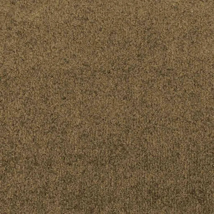 Tapis d'entrée Marron et Noir 120 x 350 cm Polyamide et PVC - 6