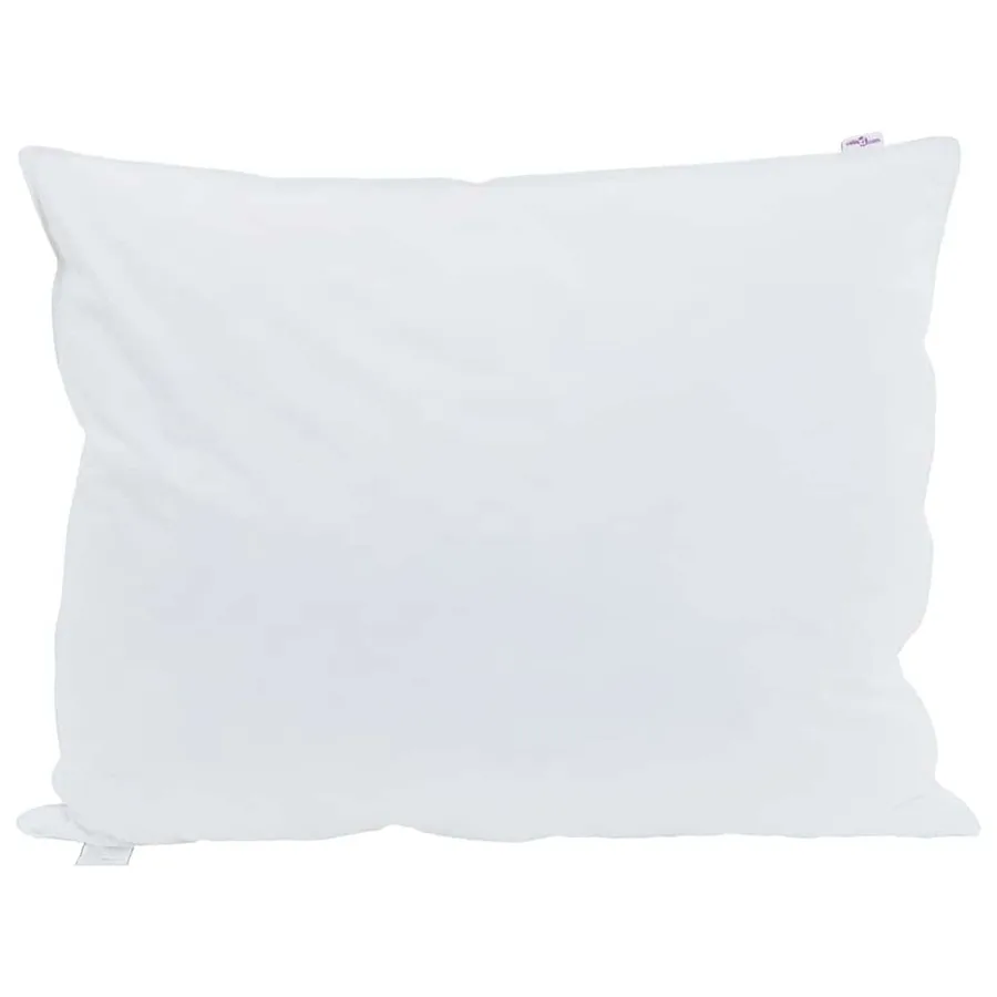 Oreiller avec oreiller 2 pcs Blanc 60 x 80 cm Plume - 2