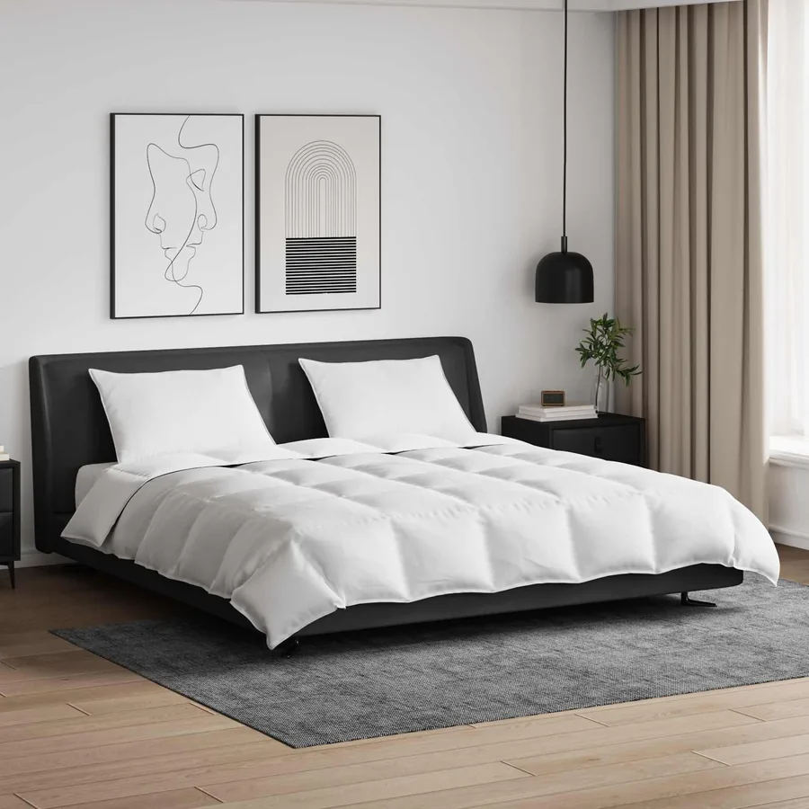 Ensemble de Duvet avec oreiller 3 pcs Blanc Plume de canard