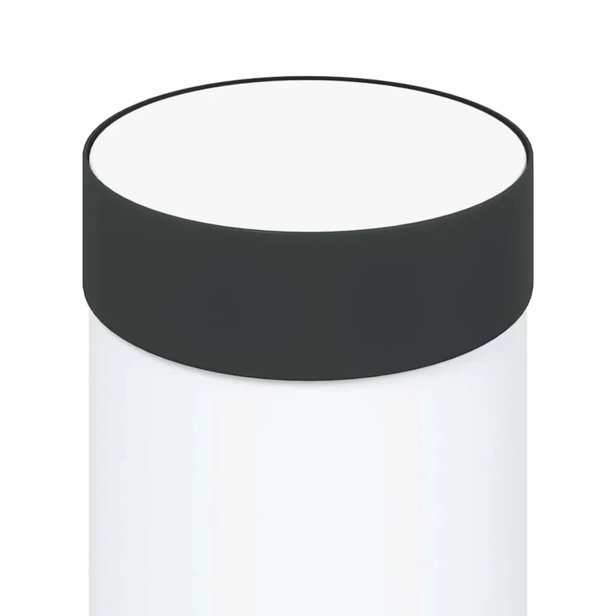 Borne lumineuse 50 cm en acier inoxydable IP44 - 7