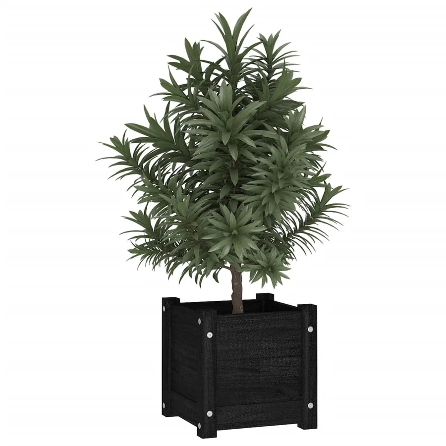 Jardinières d'extérieur 2 pcs Noir 31x31x31 cm Bois de pin - 3