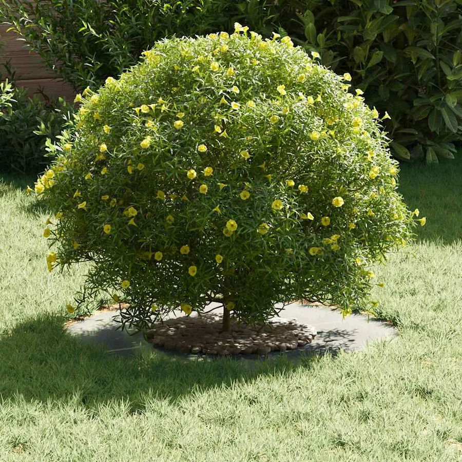 adapté pour anneaux d'arbre plats 5 pc Argent Ø30/60 cm - 3