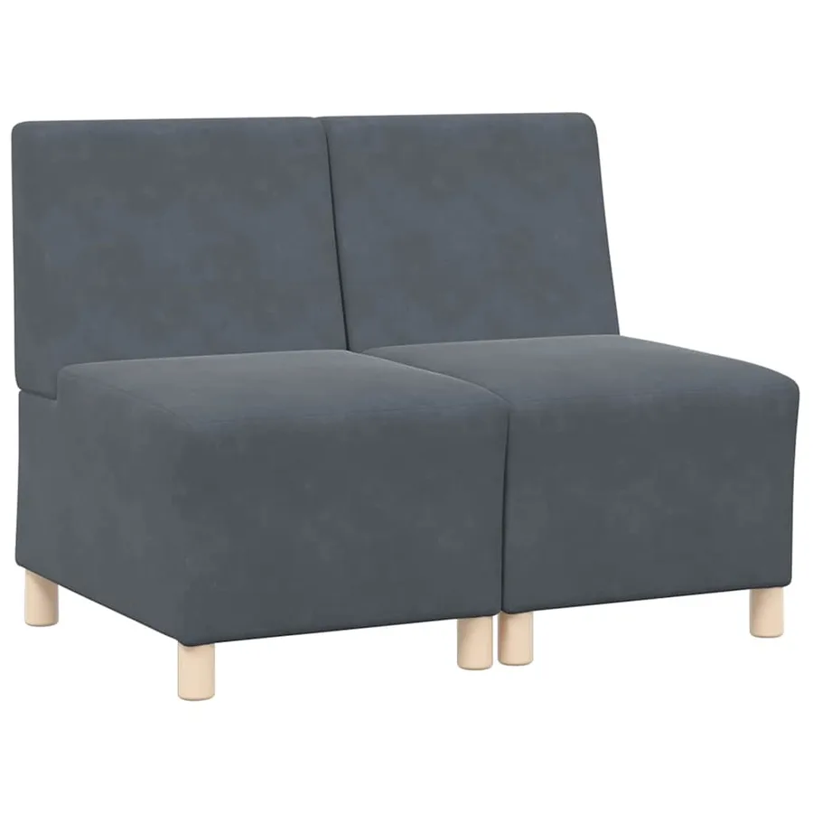 Unité de Sofa Modulaire Sans Accoudoirs 2 pcs Gris foncé - 2