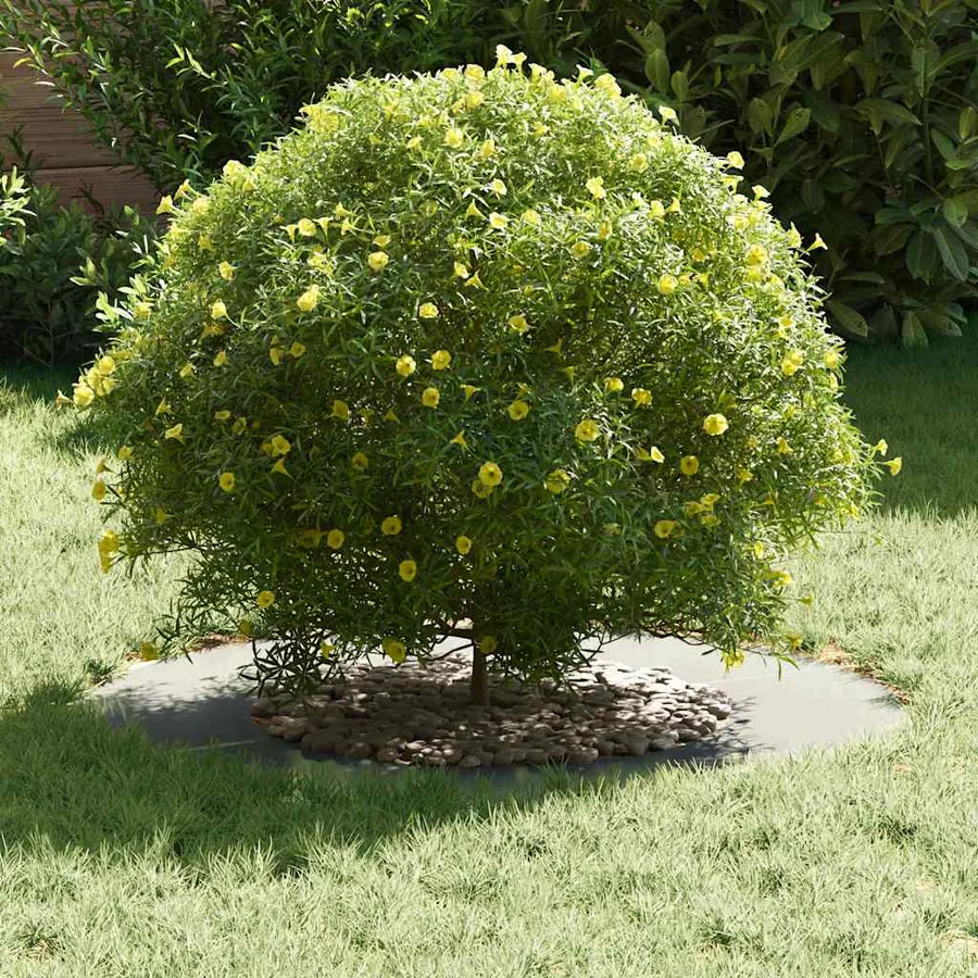 adapté pour anneau d'arbre plat Argent Ø40/70 cm - 3