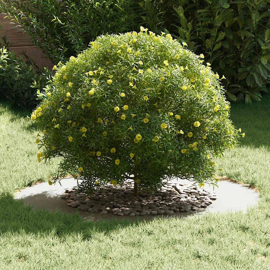 adapté pour anneau d'arbre plat Blanc Ø50/80 cm Acier - 3