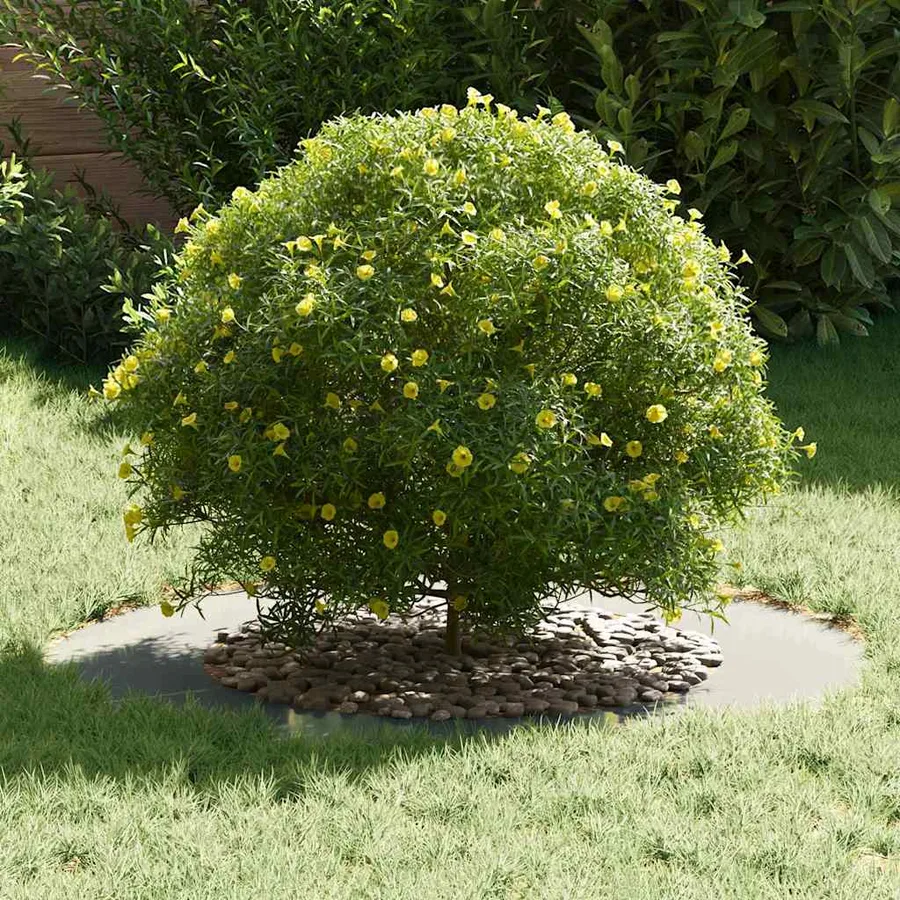 adapté pour anneaux d'arbre plats 5 pc Argent Ø50/80 cm - 3