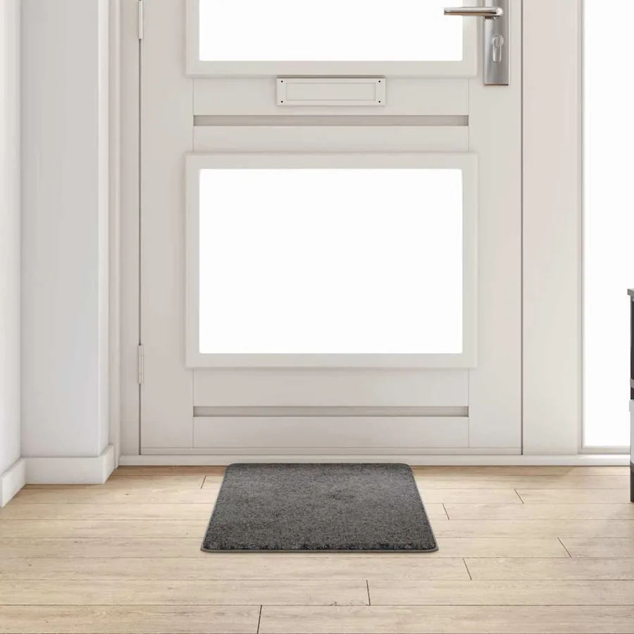 Tapis Couloir Gris 50 x 100 cm