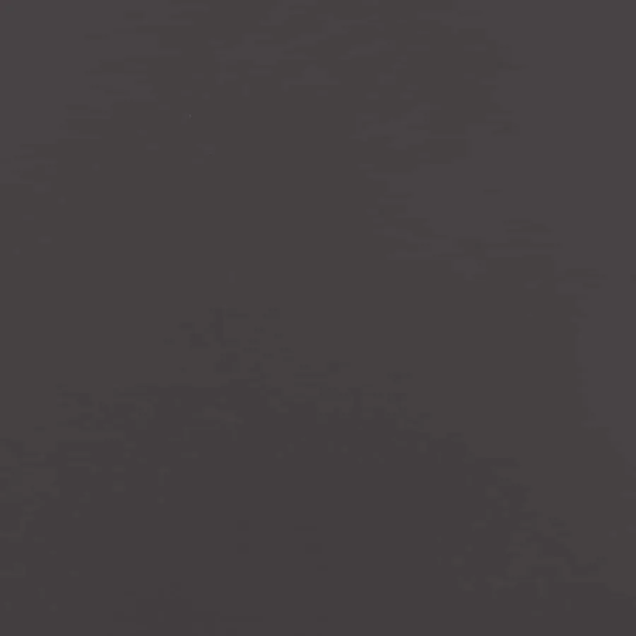 Écran de confidentialité de jardin Fretwork Noir 50 x 150 cm - 10
