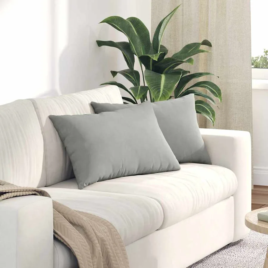 Coussins de canapé 2 pcs Gris clair 60 x 40 cm tissu