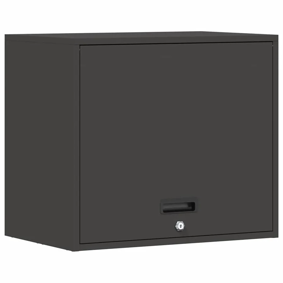 Armoire murale pour garage Noir 60 x 40 x 53 cm - 2