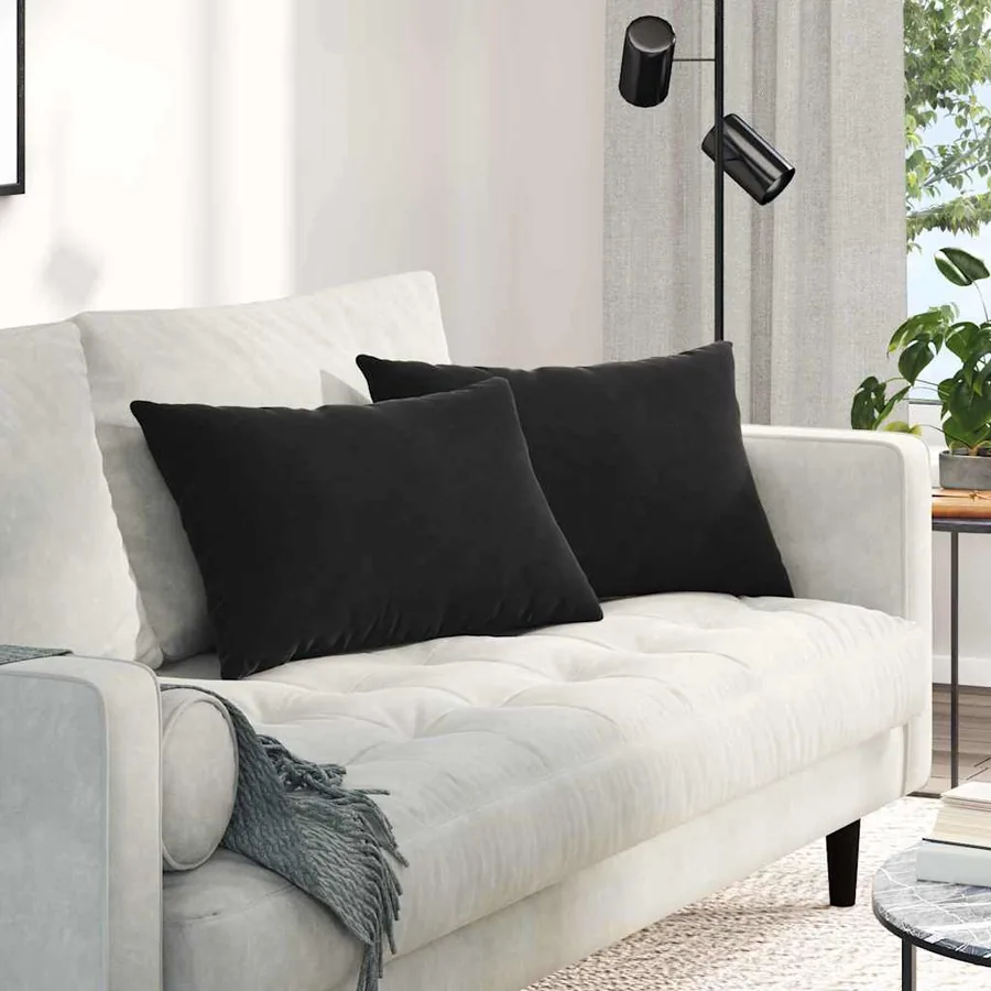 Coussins de canapé 2 pcs Noir 60 x 40 cm
