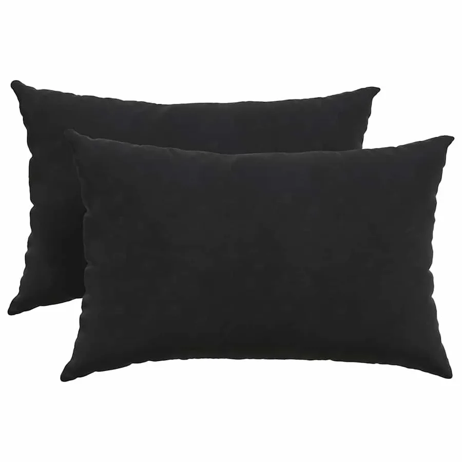 Coussins de canapé 2 pcs Noir 60 x 40 cm - 2