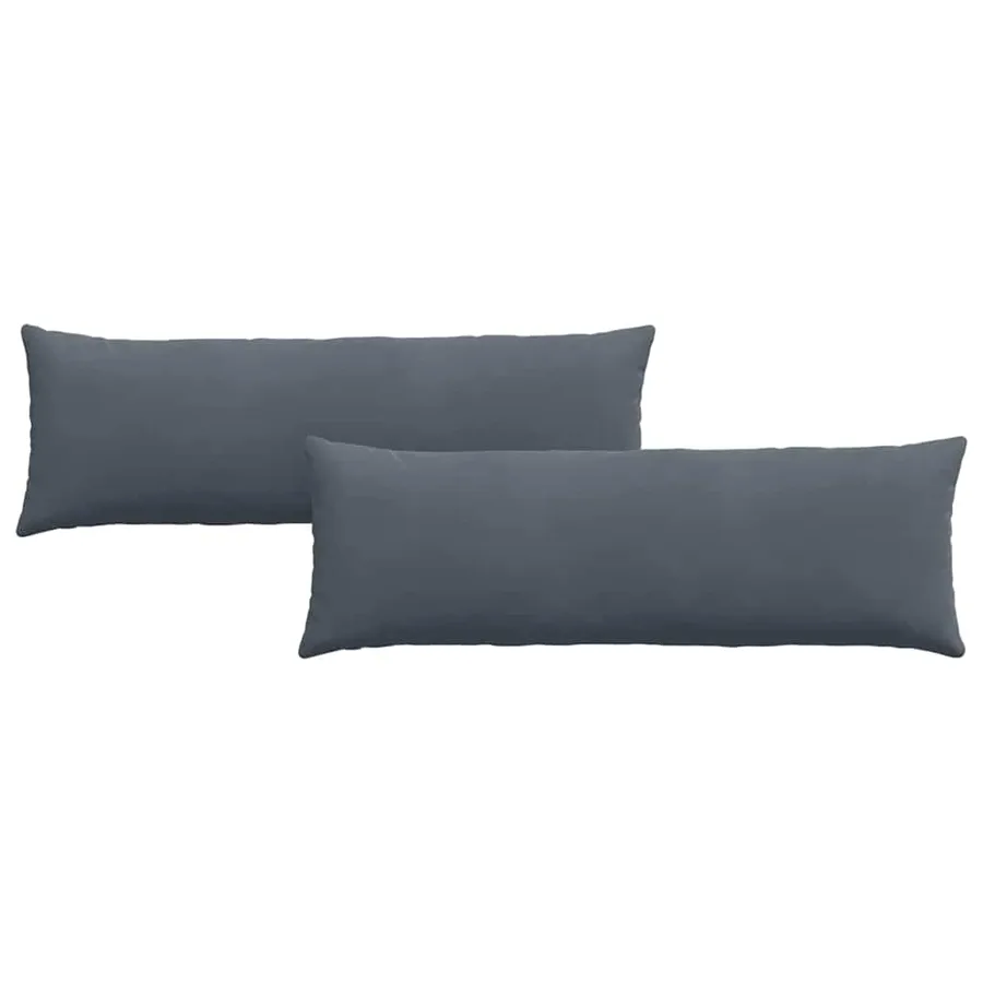 Coussins de canapé 2 pcs Gris foncé 120 x 40 cm - 2