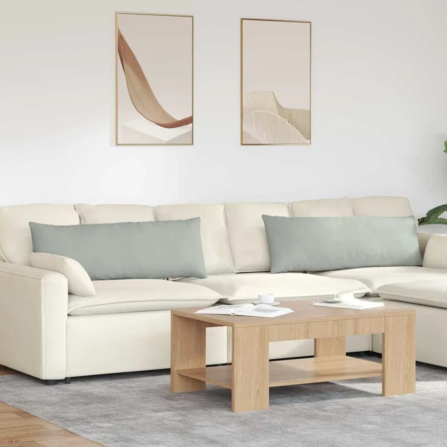 Coussins de canapé 2 pcs Gris clair 120 x 40 cm