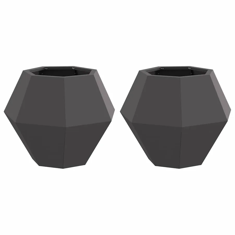 Jardinière 2 pc Noir 50 x 50 x 40 cm Acier - 2