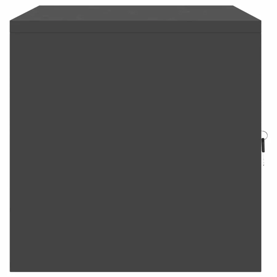 Armoire de rangement Noir 80 x 40 x 40 cm Acier - 7
