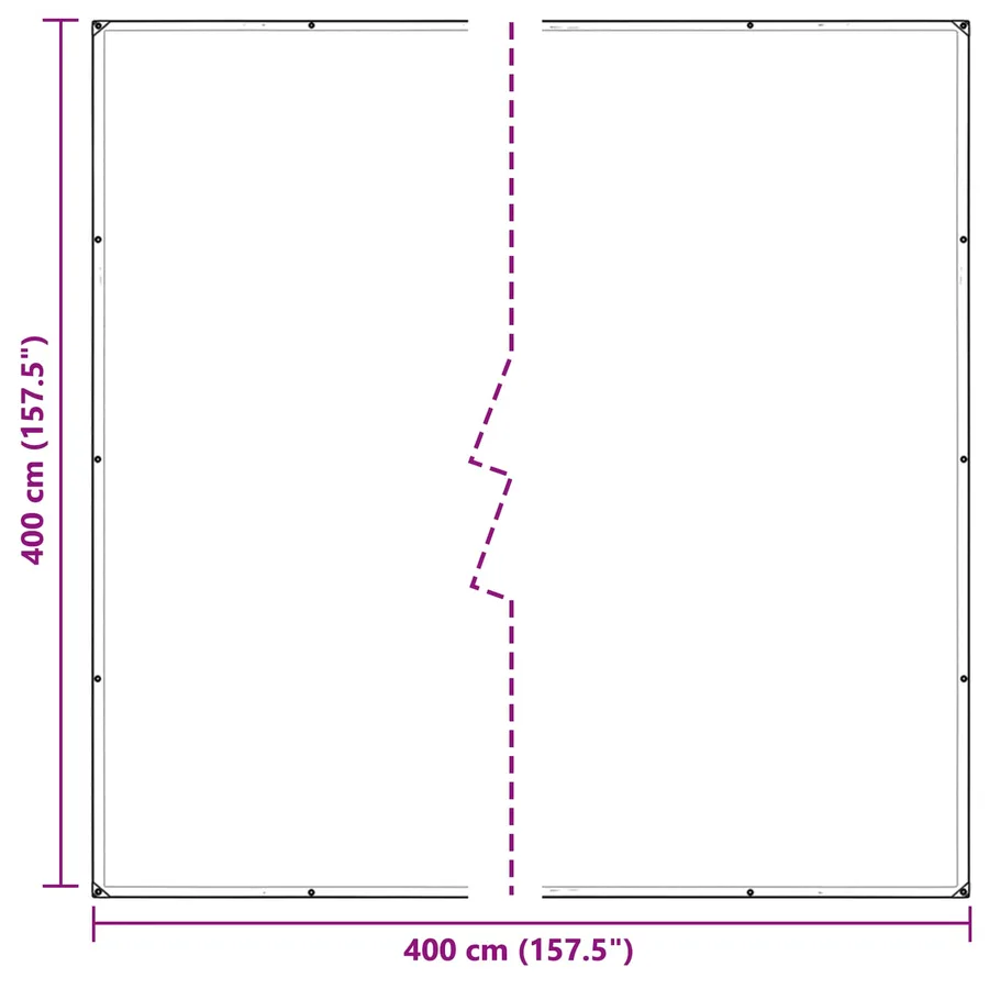 Couverture pour plantes Transparent 4 x 4 m PE - 10