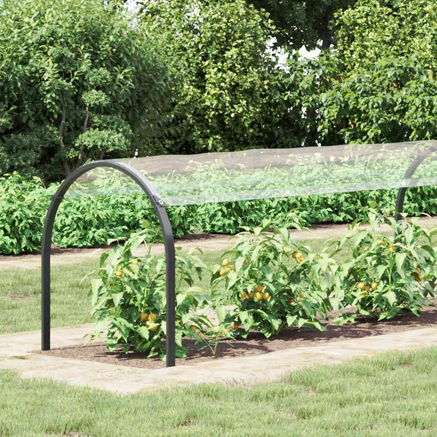 Couverture pour plantes Transparent 1 x 12 m PVC - 3