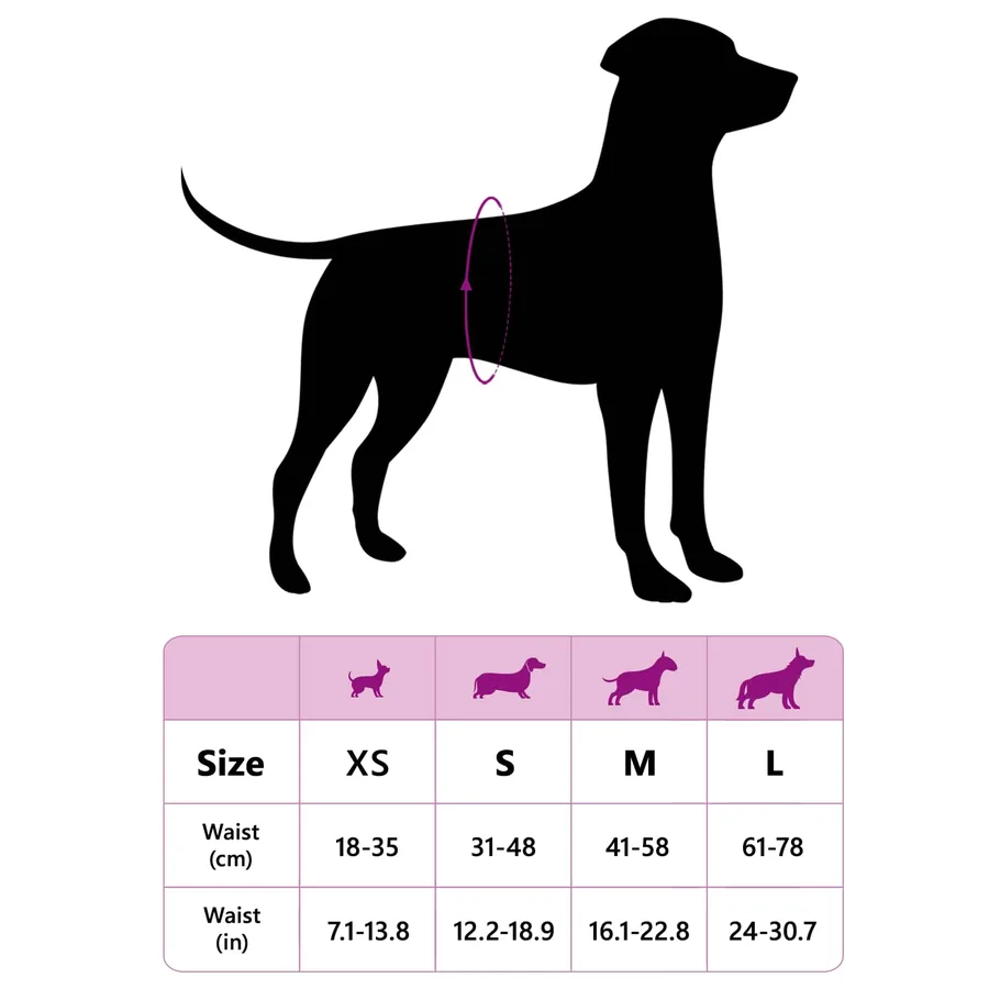 Protection Hygiénique Jetable pour Chien Mâle 30 pcs Blanc XS - 11