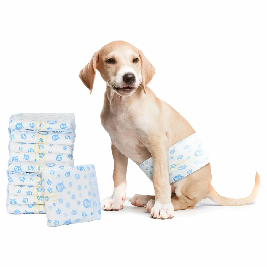 Protection Hygiénique Jetable pour Chien Mâle 30 pcs Blanc XS - 3