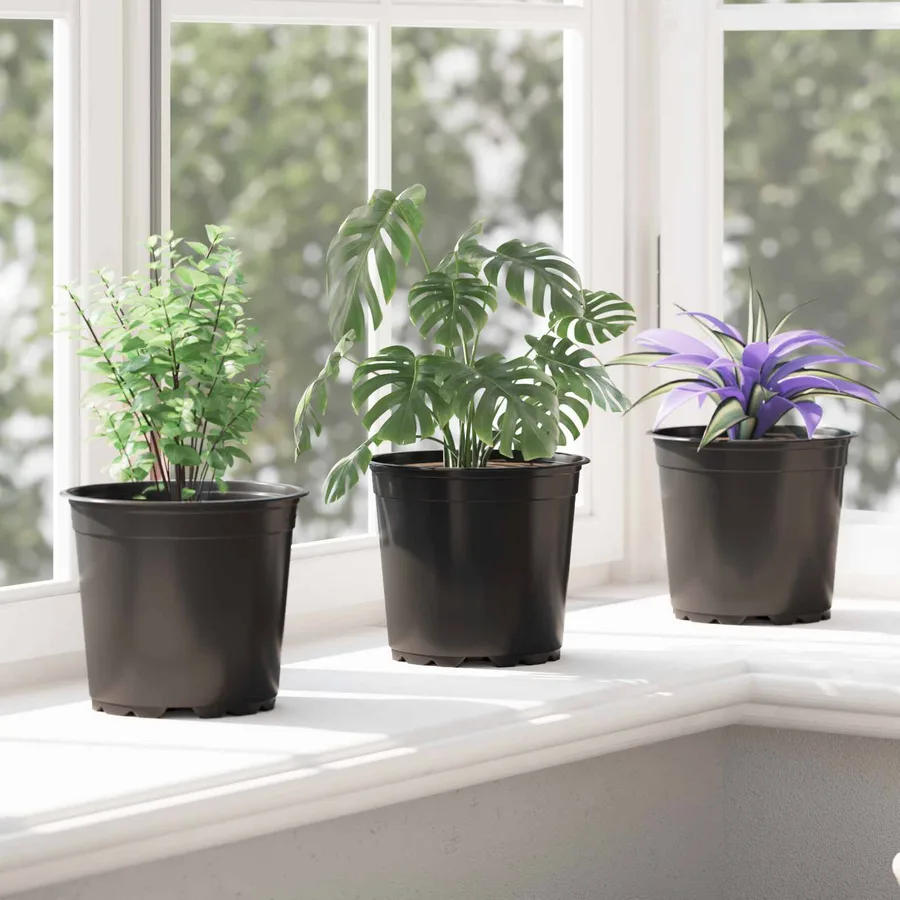 Pot à fleurs 100 pcs Noir Ø 15 x 13 cm Plastique - 5