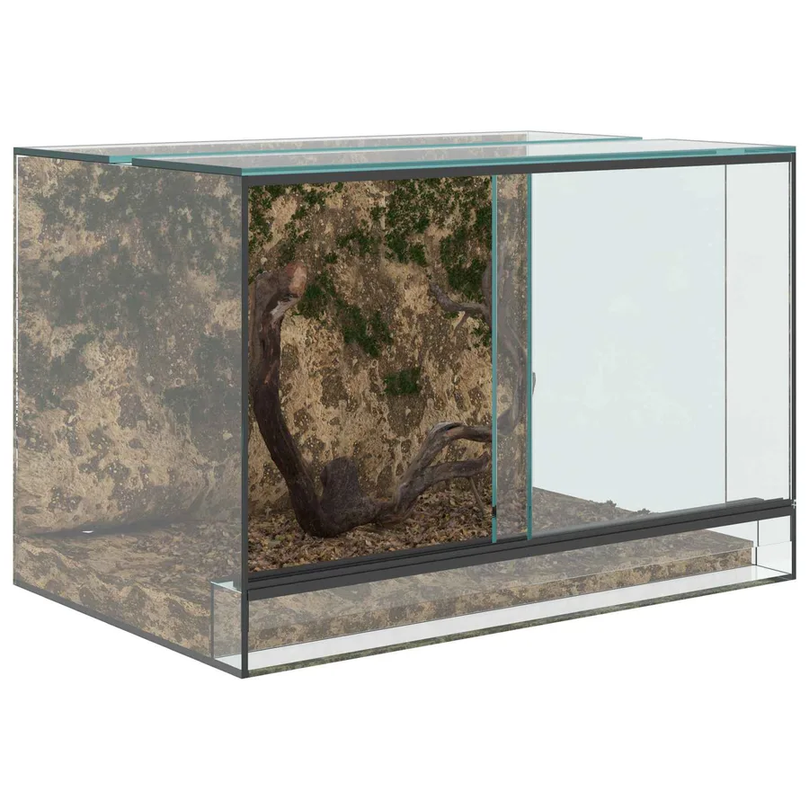 Terrarium avec stockage Transparent 60 x 40 x 40 cm Verre - 3