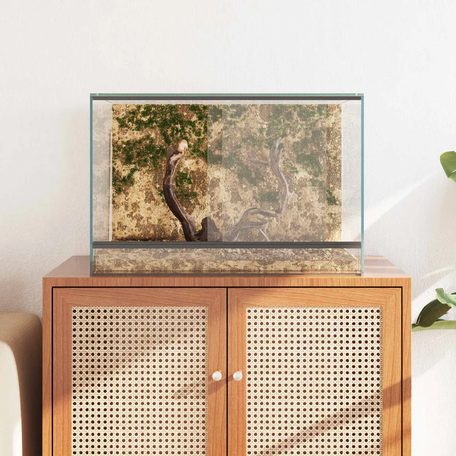 Terrarium avec stockage Transparent 60 x 40 x 40 cm Verre - 4