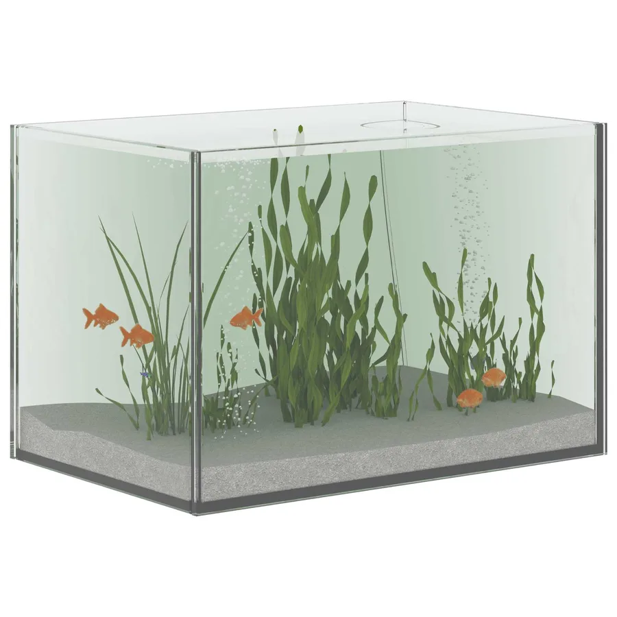 Aquarium avec stockage Transparent 30 x 20 x 20 cm Verre - 3