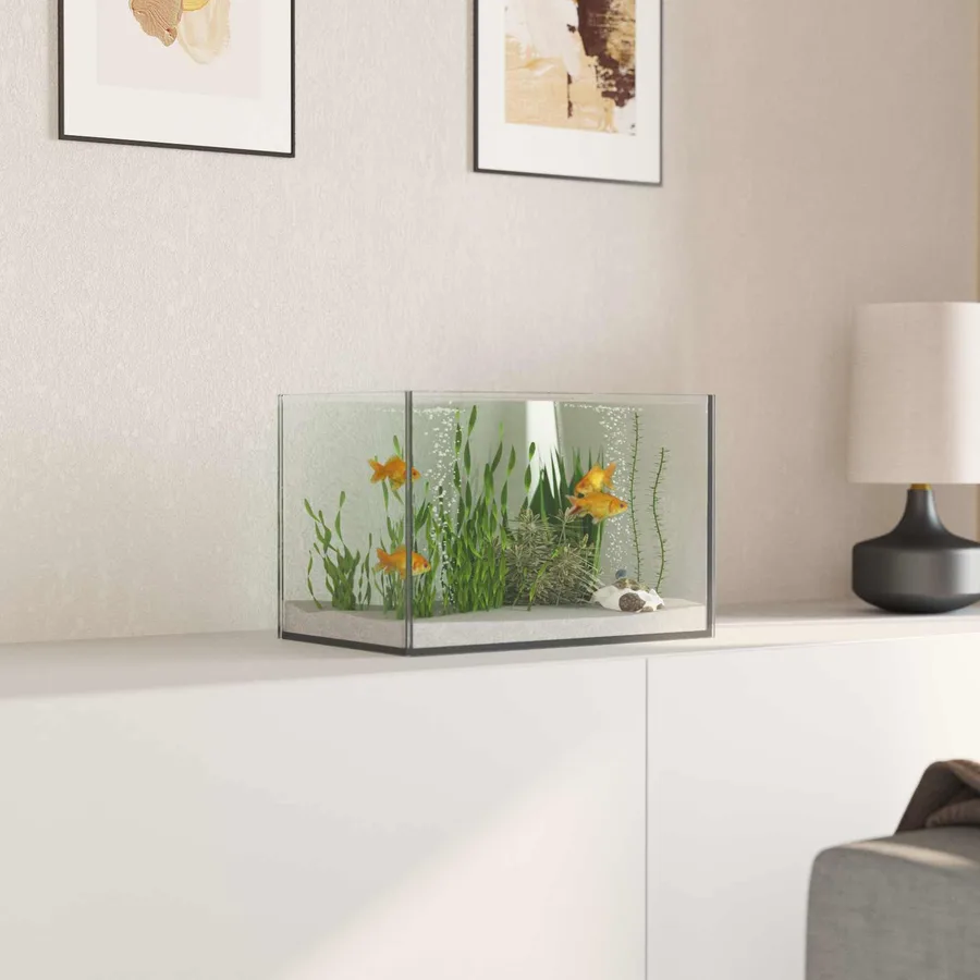 Aquarium avec stockage Transparent 30 x 20 x 20 cm Verre - 4