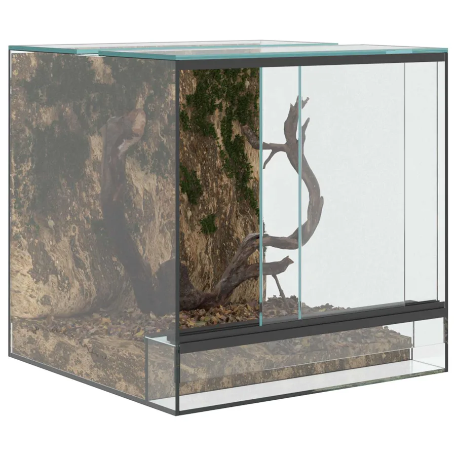 Terrarium avec stockage Transparent 30 x 30 x 30 cm Verre - 3